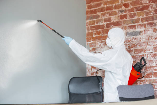 Best Mold Odor Removal Services  in Wilsonville, OR