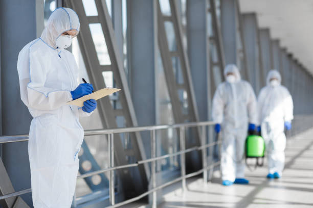Best Mold Odor Removal Services  in Wilsonville, OR