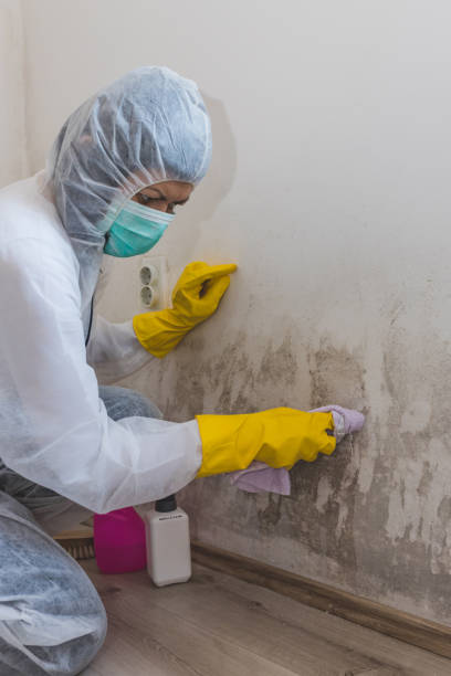 Best HVAC Mold Inspection and Cleaning  in Wilsonville, OR