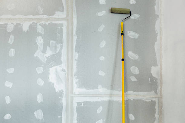 Best Mold Removal for HVAC Installations  in Wilsonville, OR