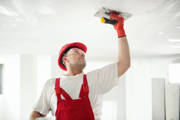 Professional Mold Removal in Wilsonville, OR