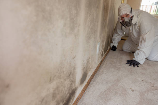 Best Commercial Mold Inspection  in Wilsonville, OR